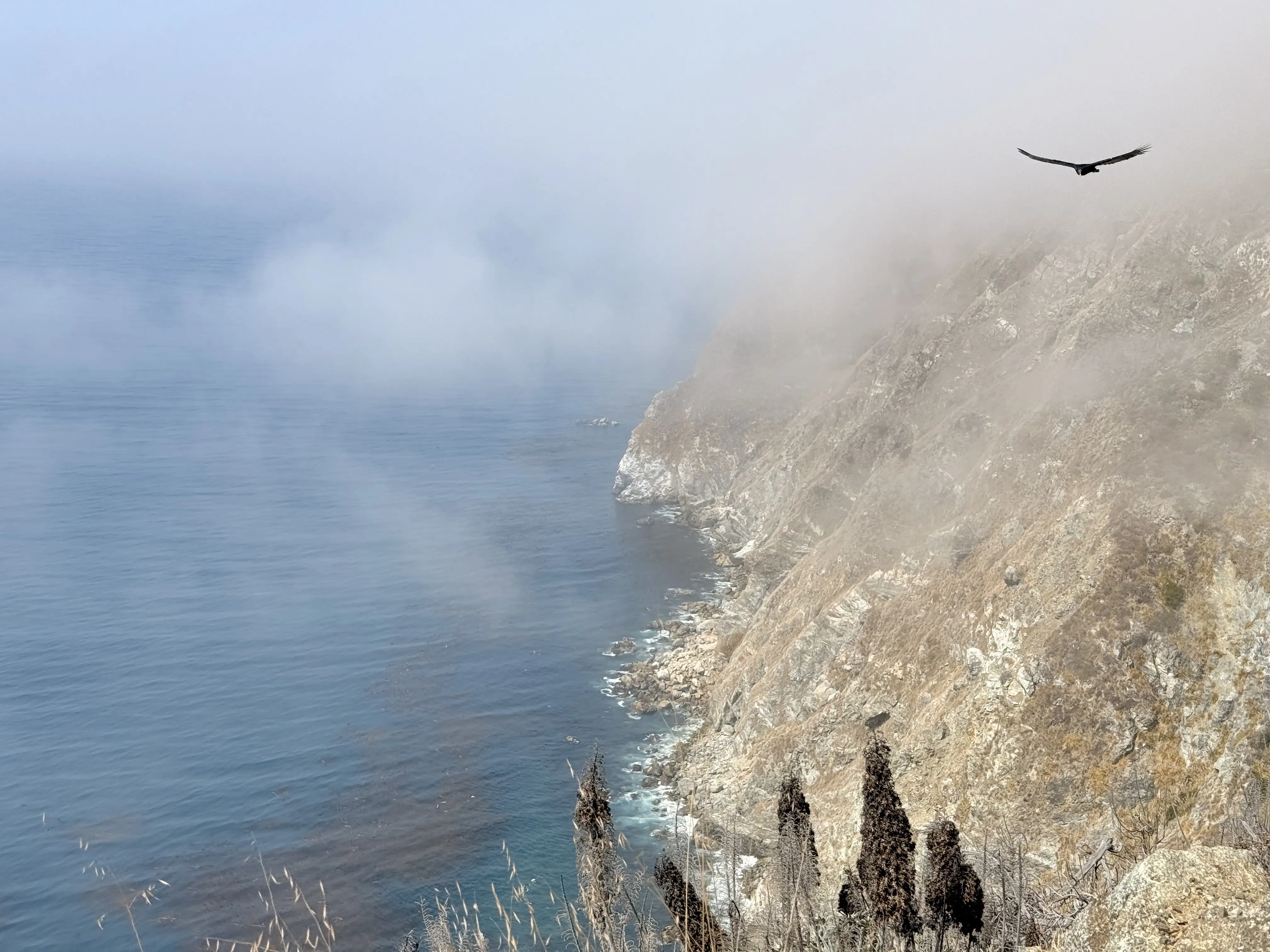 Kystlinje ved Big Sur
