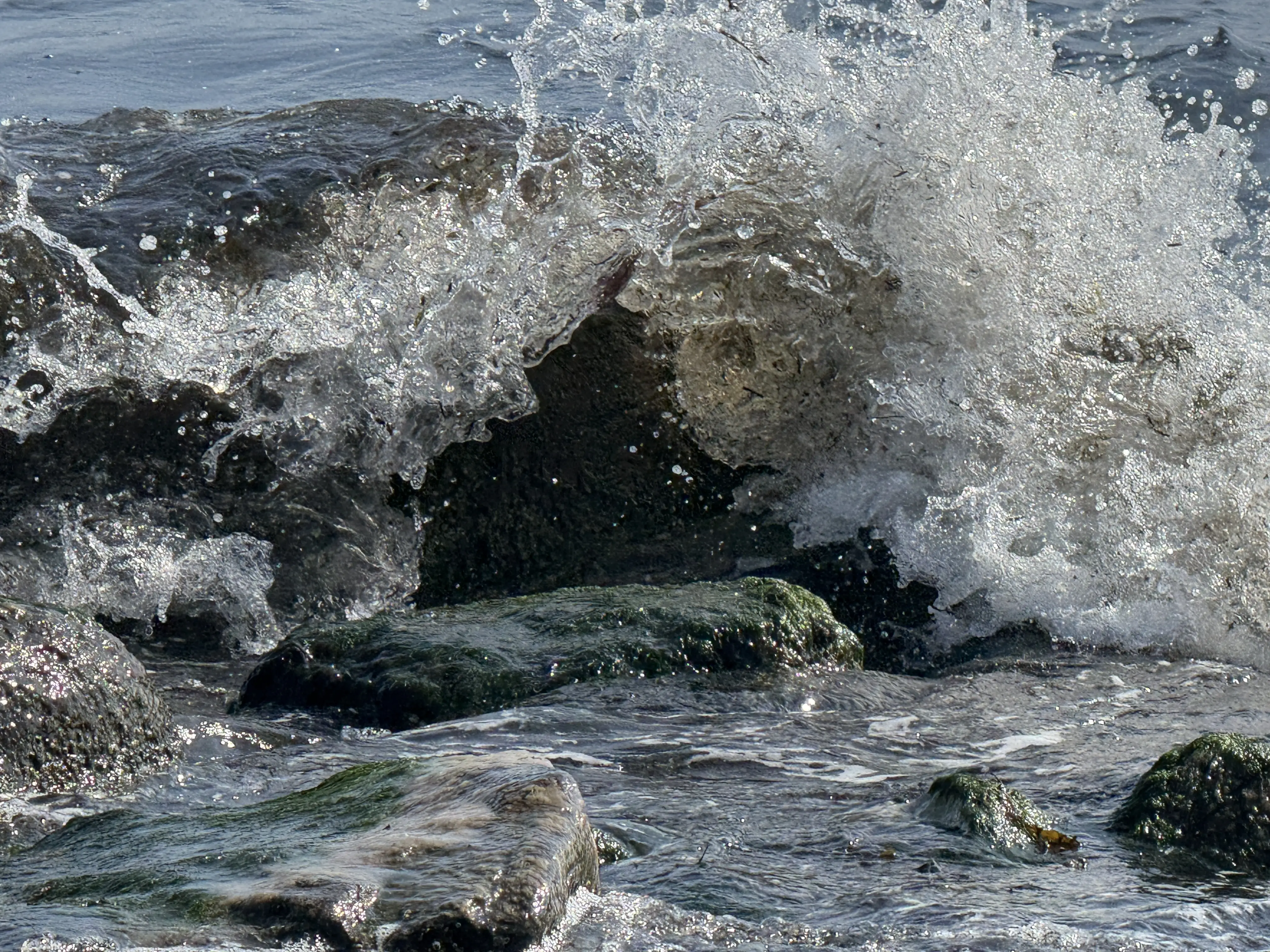 Bølge i havet